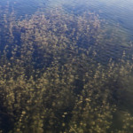 image: Image from the photoset ‘
schengen (ii)
’.