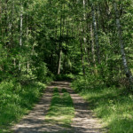 image: Image from the photoset ‘
schengen (ii)
’.