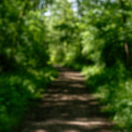 image: Image from the photoset ‘
schengen (ii)
’.