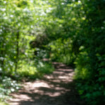 image: Image from the photoset ‘
schengen (ii)
’.