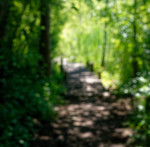 image: Image from the photoset ‘
schengen (ii)
’.