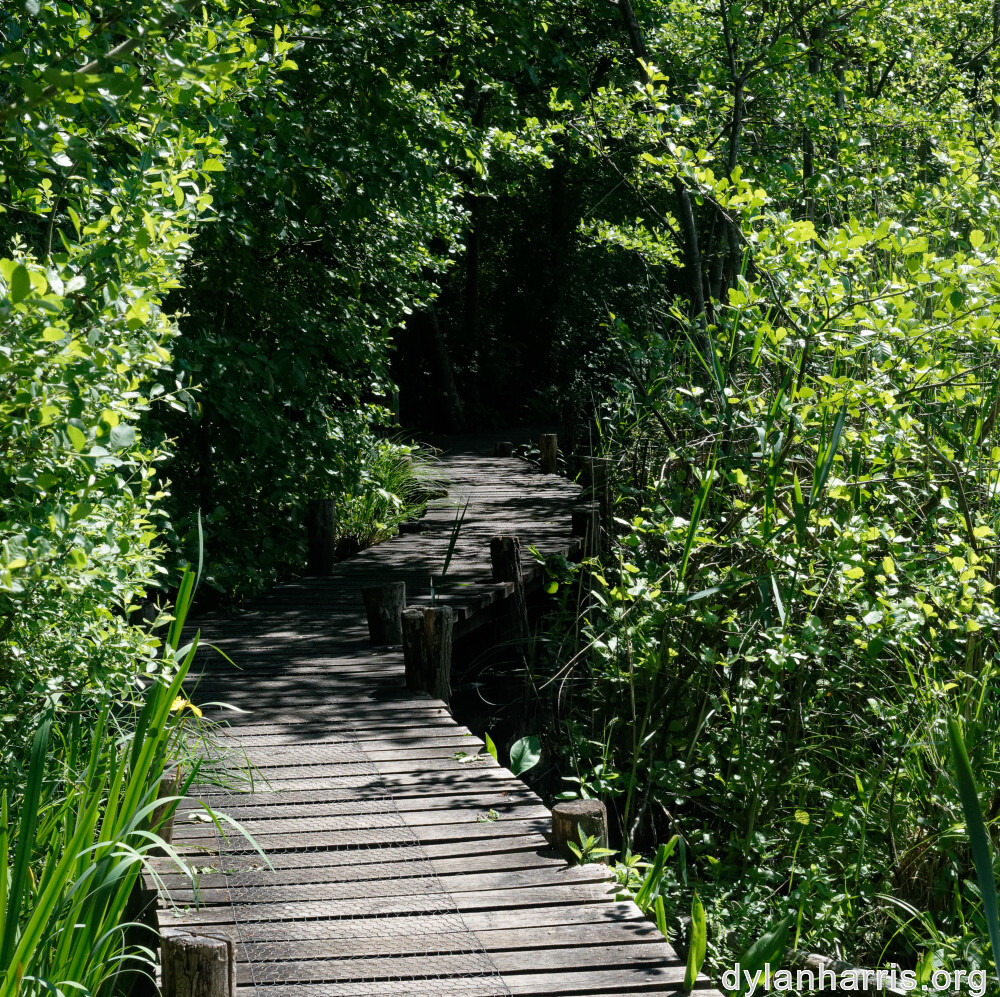 image: This is ‘
schengen (iii) 1
’.