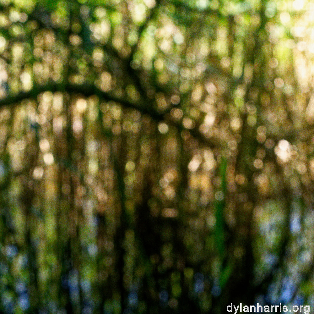 image: This is ‘
schengen (iii) 2
’.