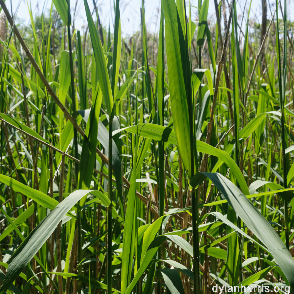 image: This is ‘
schengen (iii) 5
’.