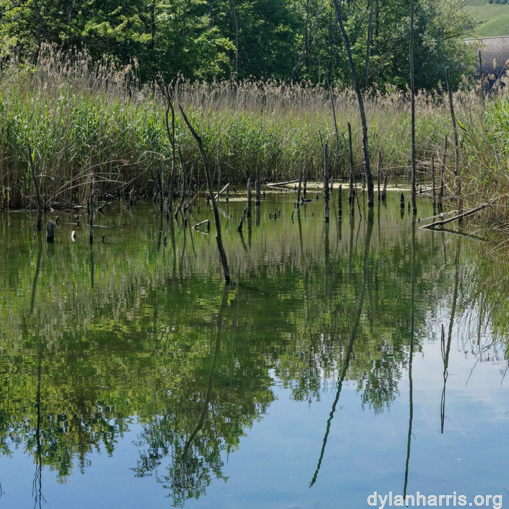 image: This is ‘
schengen (iii) 6
’.