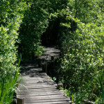 image: Image from the photoset ‘
schengen (iii)
’.