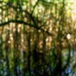 image: Image from the photoset ‘
schengen (iii)
’.