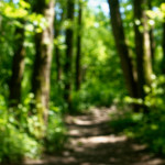 image: Image from the photoset ‘
schengen (iii)
’.