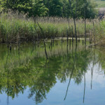 image: Image from the photoset ‘
schengen (iii)
’.