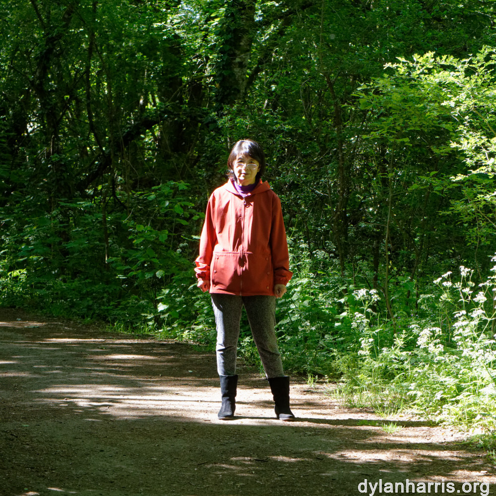 image: This is ‘
L (xxxii) 1
’.