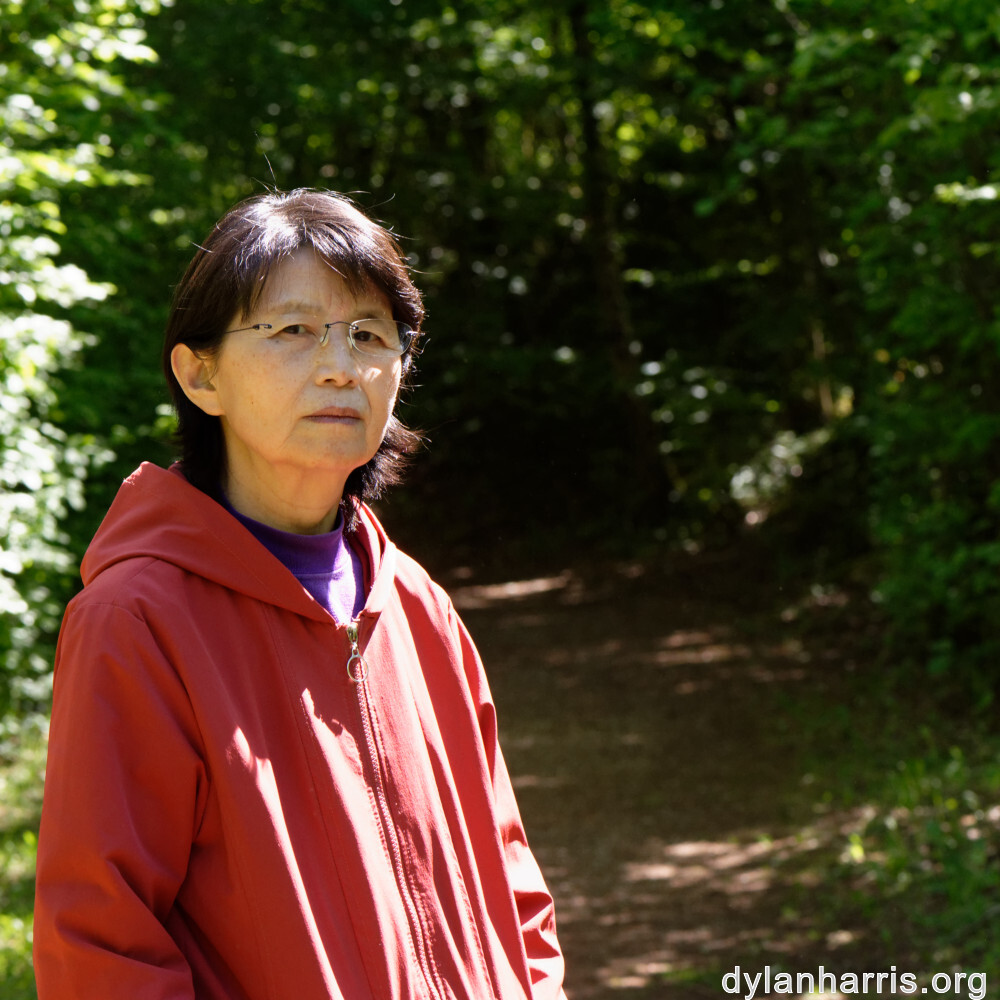 image: This is ‘
L (xxxii) 3
’.