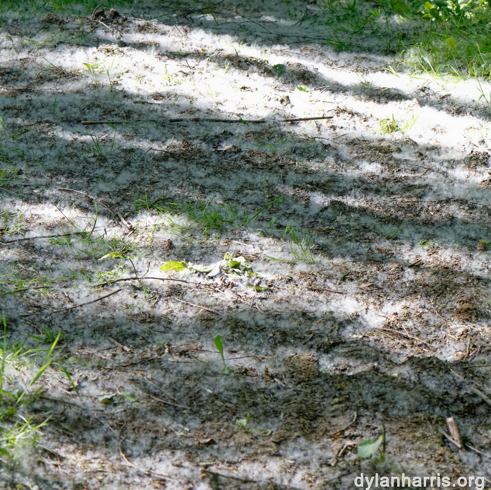 image: This is ‘
belvaux (iv) 1
’.