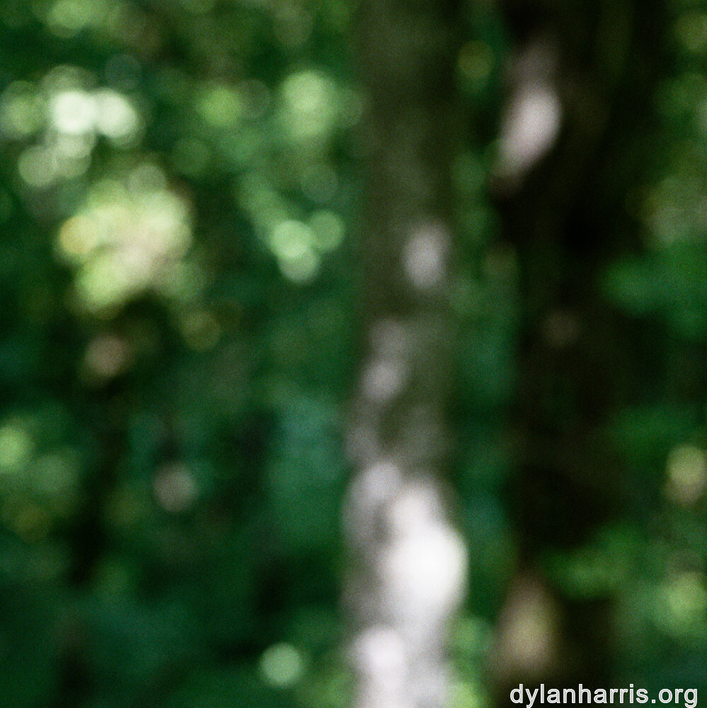 image: This is ‘
belvaux (iv) 2
’.