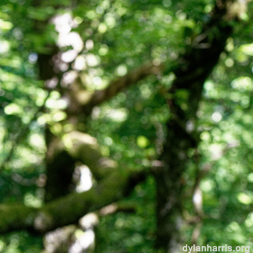 image: This is ‘
belvaux (iv) 3
’.