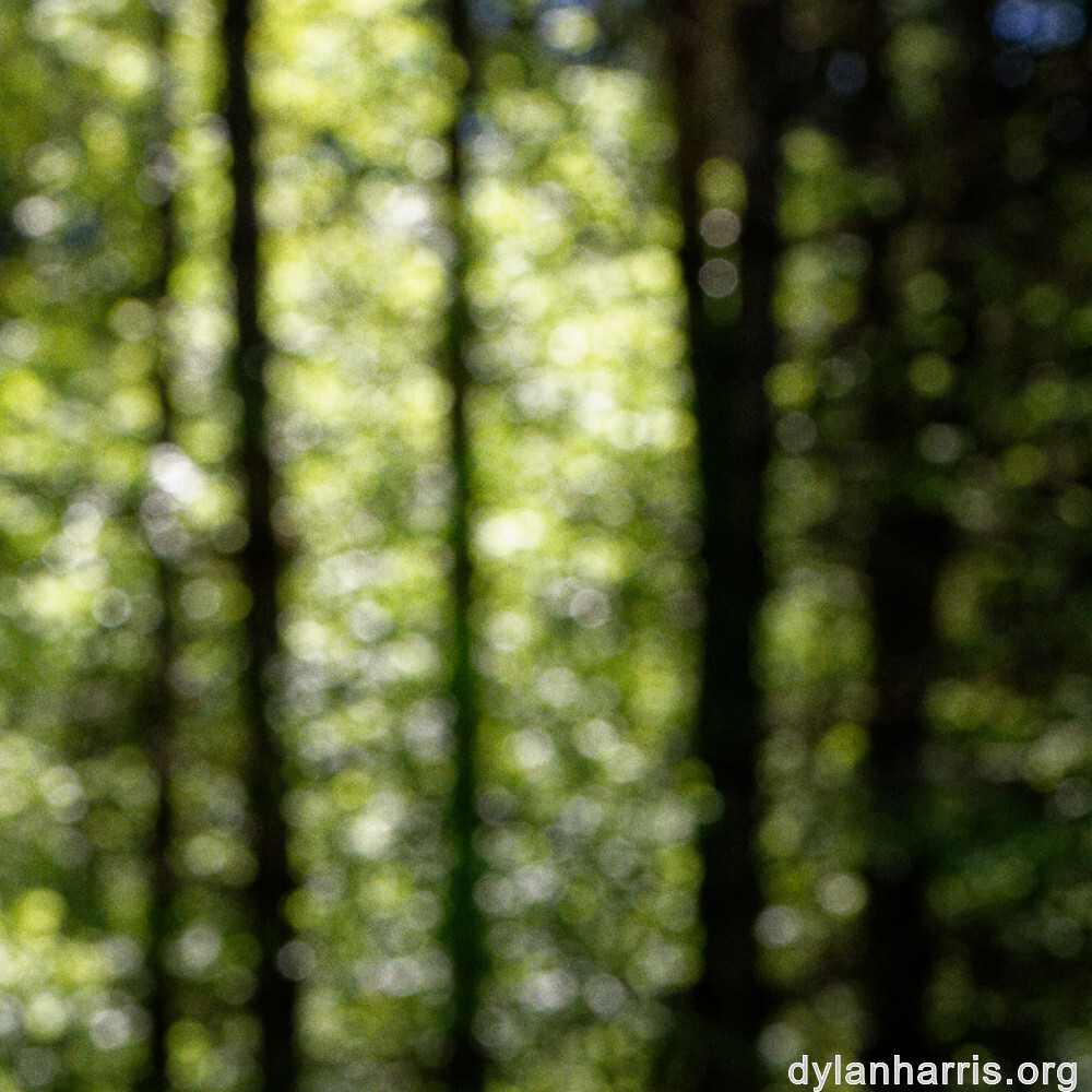 image: This is ‘
belvaux (iv) 6
’.