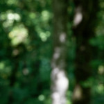 image: Image from the photoset ‘
belvaux (iv)
’.