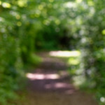 image: Image from the photoset ‘
belvaux (iv)
’.