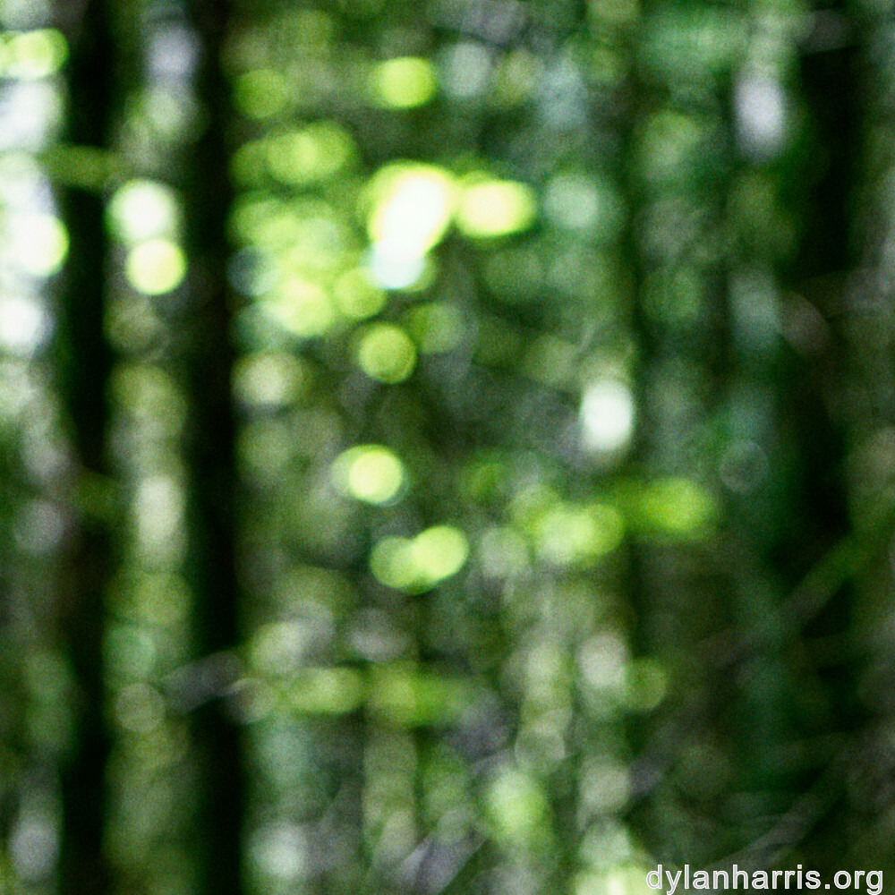 image: This is ‘
belvaux (v) 1
’.