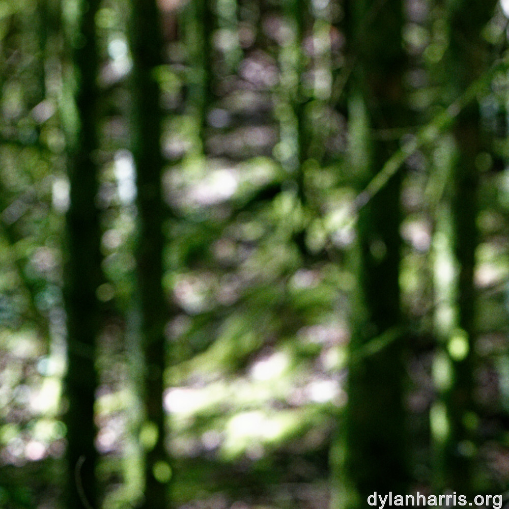 image: This is ‘
belvaux (v) 2
’.