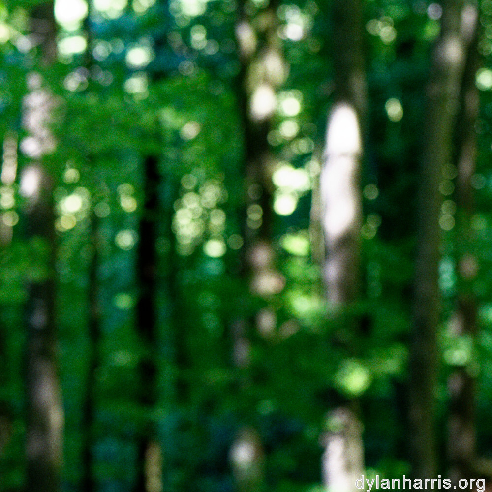 image: This is ‘
belvaux (v) 3
’.