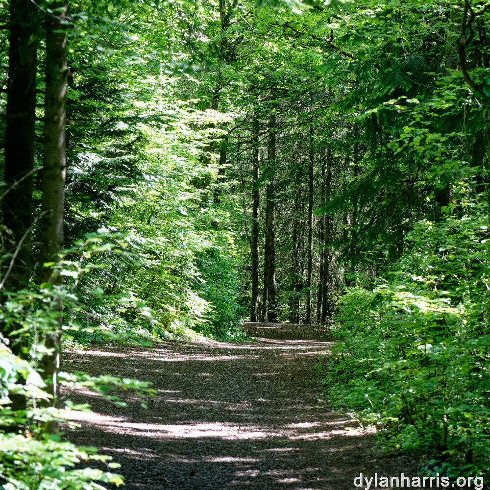 image: This is ‘
belvaux (v) 5
’.