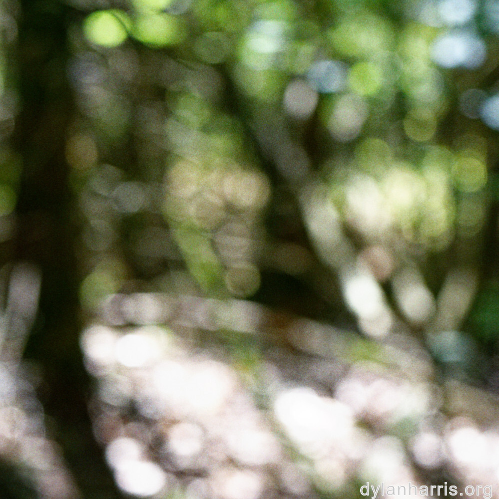 image: This is ‘
belvaux (v) 6
’.