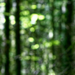 image: Image from the photoset ‘
belvaux (v)
’.