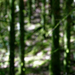 image: Image from the photoset ‘
belvaux (v)
’.