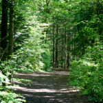 image: Image from the photoset ‘
belvaux (v)
’.