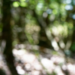 image: Image from the photoset ‘
belvaux (v)
’.