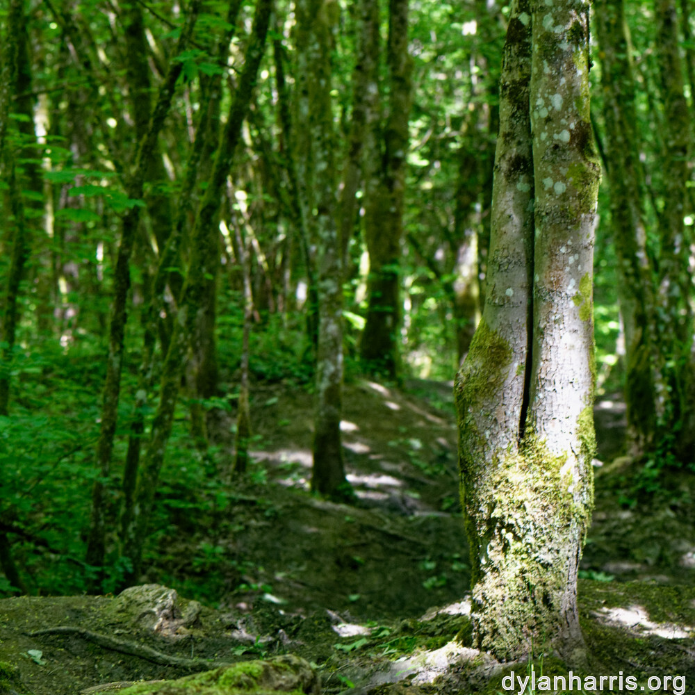 image: This is ‘
belvaux (vi) 2
’.