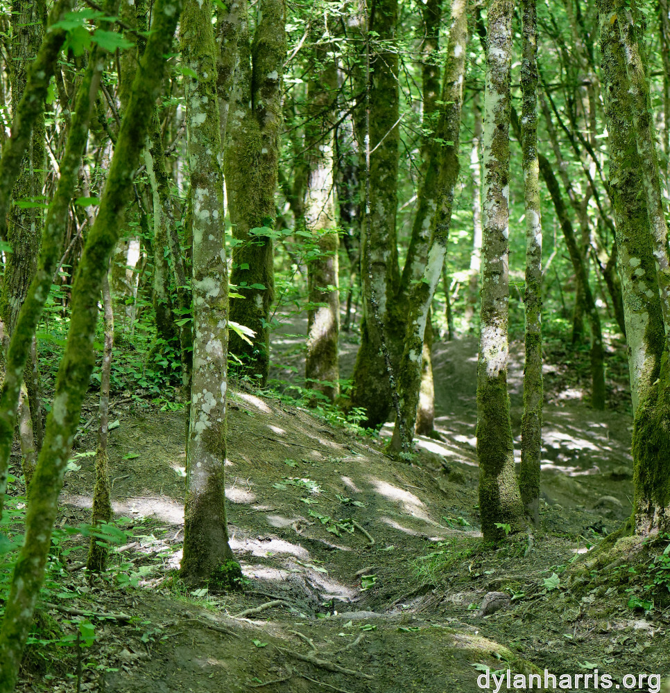 image: This is ‘
belvaux (vi) 3
’.