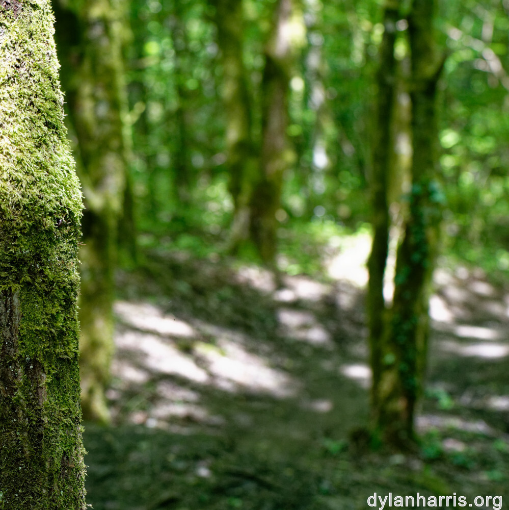 image: This is ‘
belvaux (vi) 4
’.