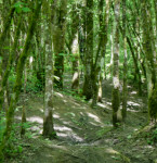 image: Image from the photoset ‘
belvaux (vi)
’.