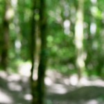 image: Image from the photoset ‘
belvaux (vi)
’.