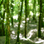 image: Image from the photoset ‘
belvaux (vi)
’.