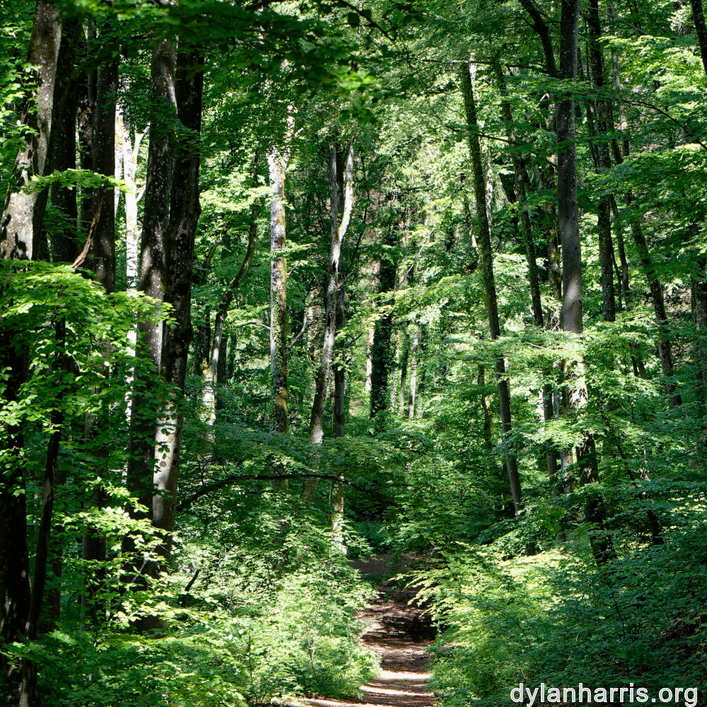 image: This is ‘
kayl 2
’.