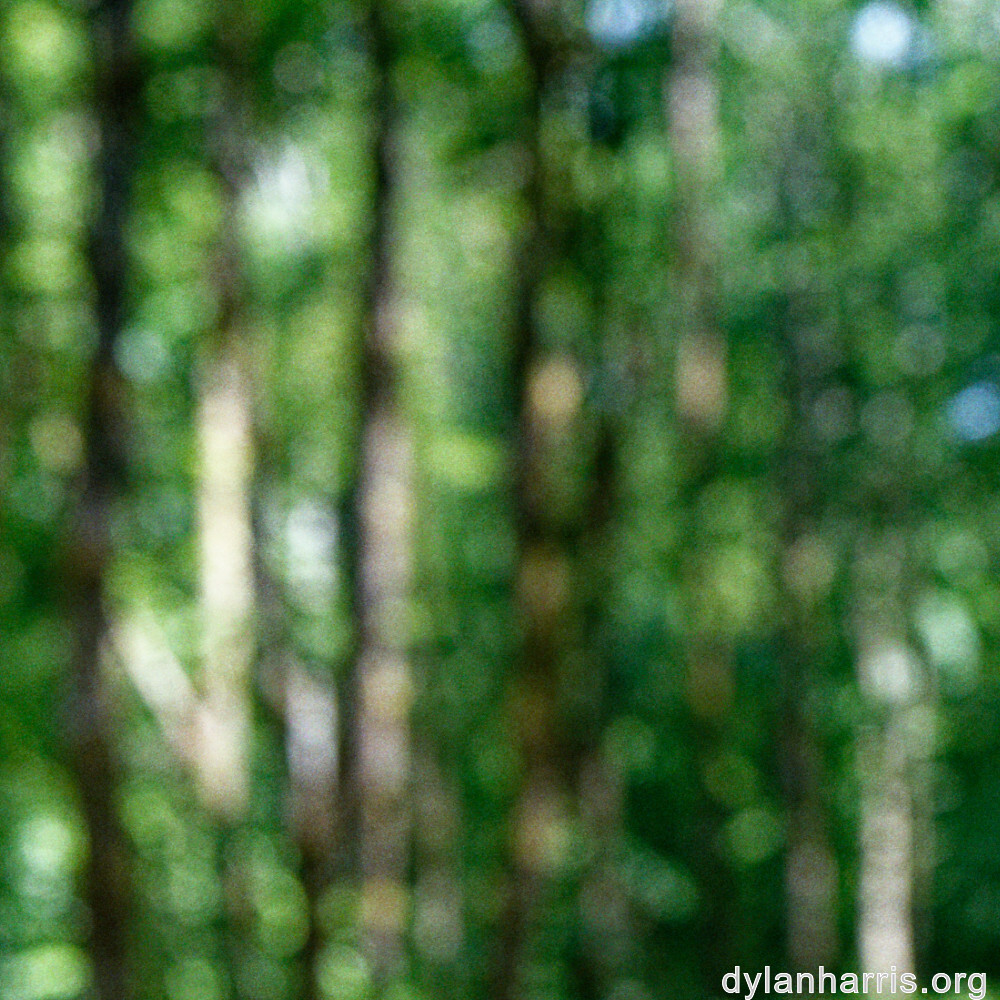 image: This is ‘
kayl 3
’.