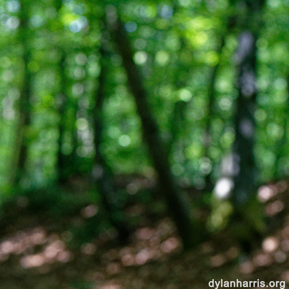 image: This is ‘
kayl 5
’.