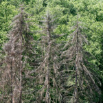 image: Image from the photoset ‘
kayl (i)
’.