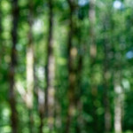 image: Image from the photoset ‘
kayl (i)
’.