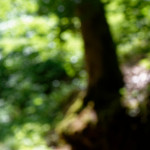 image: Image from the photoset ‘
kayl (i)
’.