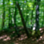 image: Image from the photoset ‘
kayl (i)
’.