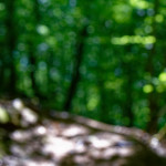 image: Image from the photoset ‘
kayl (i)
’.