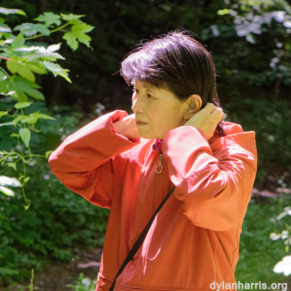 image: This is ‘
L (xxxiii) 1
’.