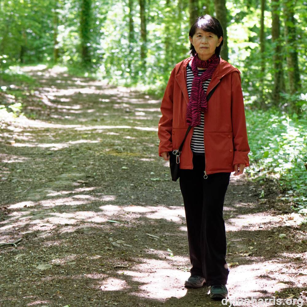 image: This is ‘
L (xxxiii) 3
’.