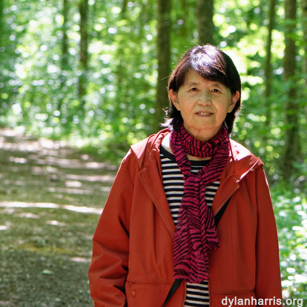 image: This is ‘
L (xxxiii) 4
’.