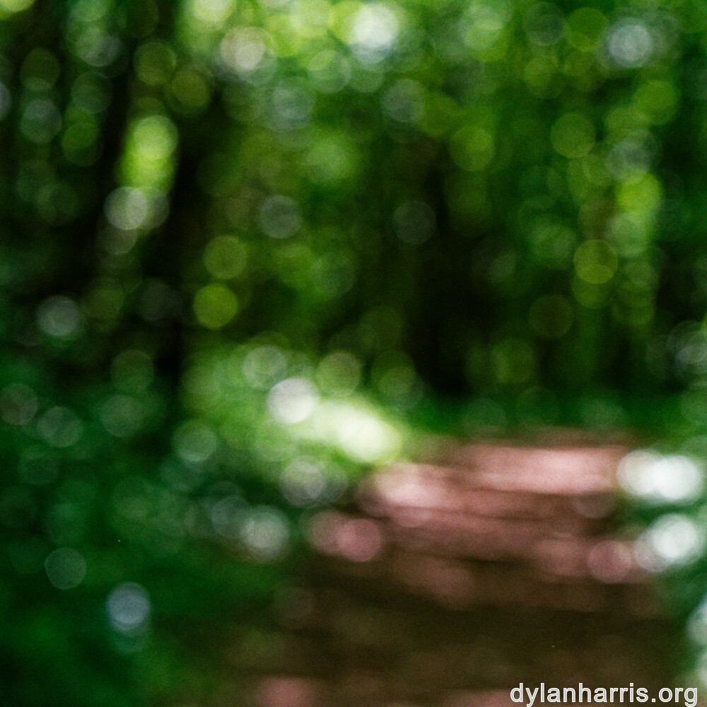 image: This is ‘
kayl 1
’.