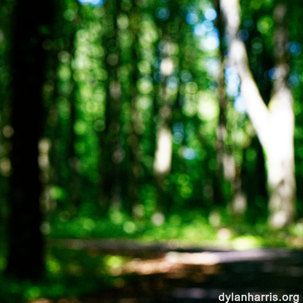 image: This is ‘
kayl 2
’.