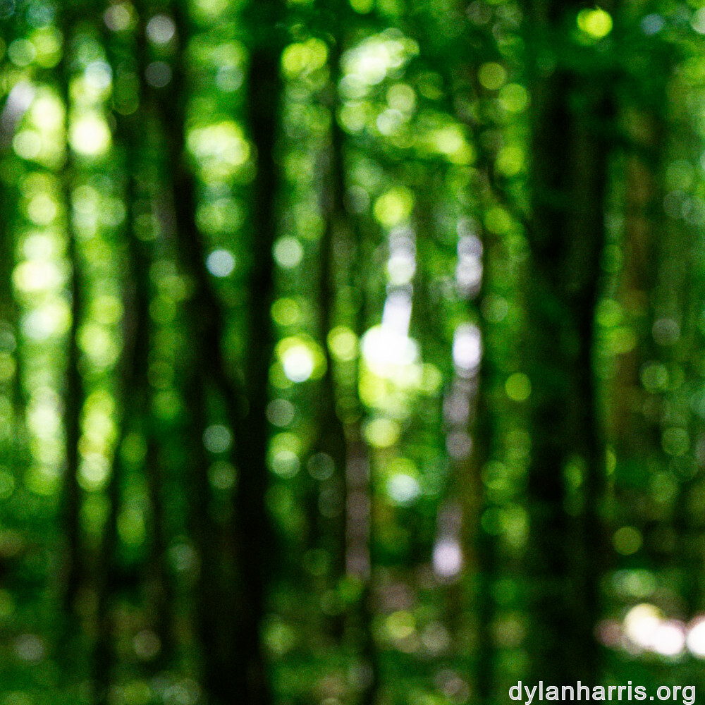 image: This is ‘
kayl 3
’.